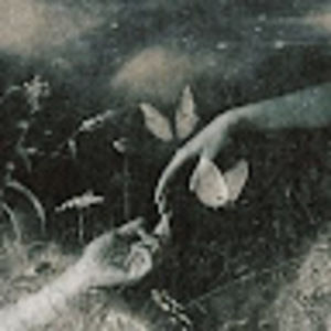 Meet your Posher, Stella